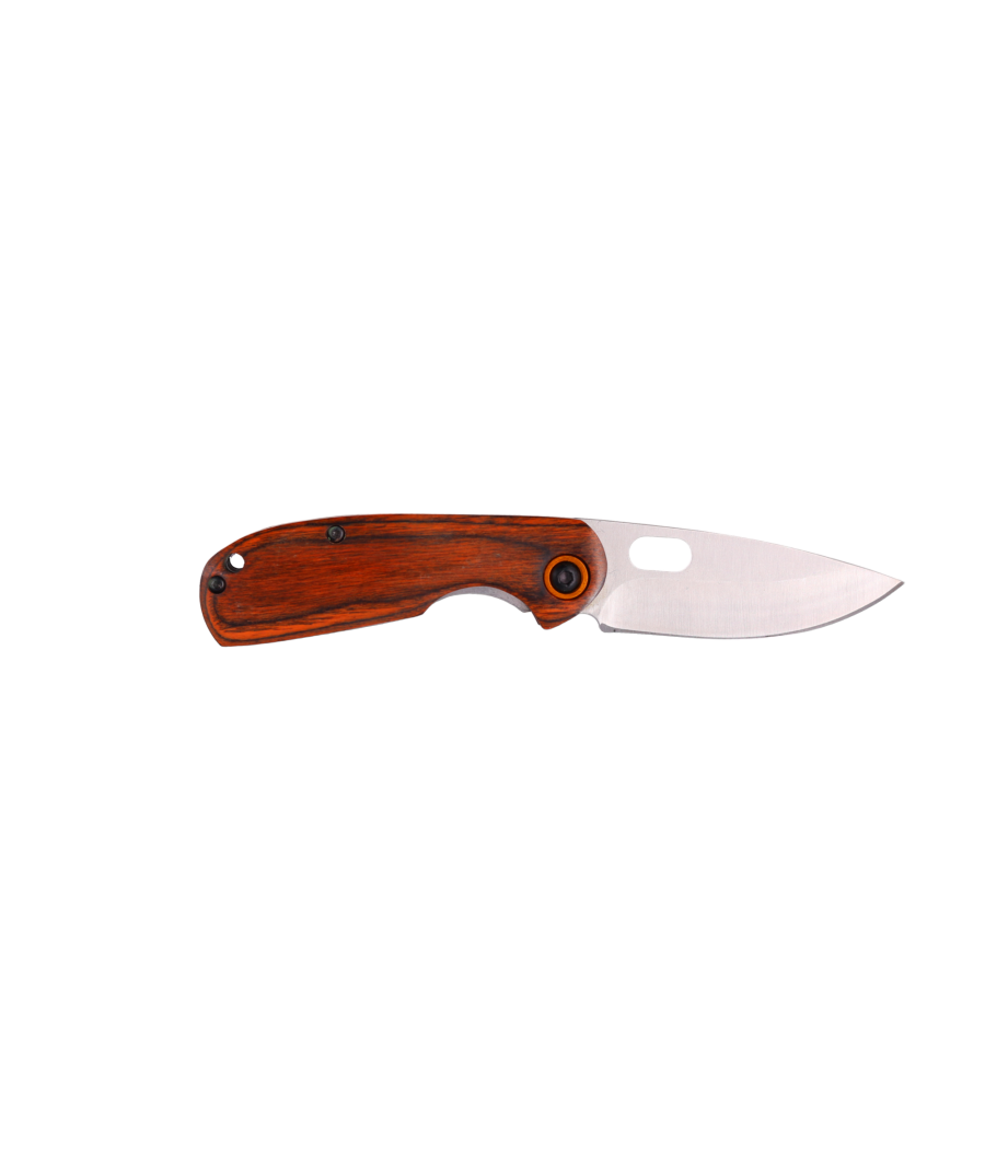 copy of LE GLADIATEUR